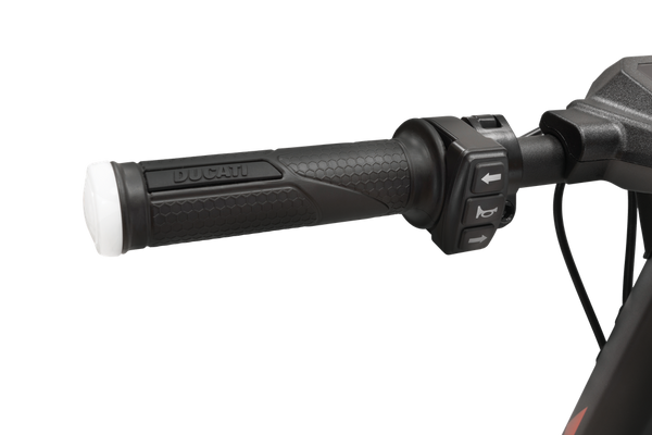 Ducati Pro-II Evo Advanced Safety